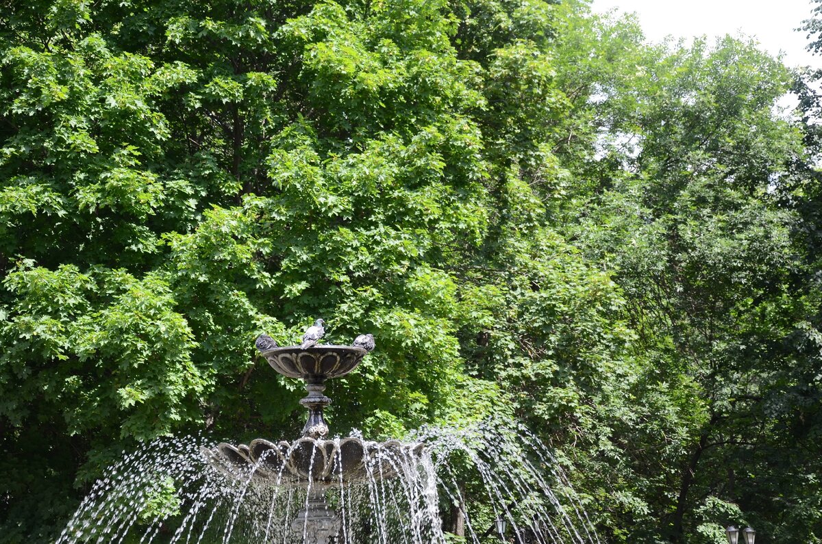 Летнее фото для хорошего настроения из личного архива автора. Кто узнает, в каком городе сделан снимок, отпишитесь в комментариях. Подсказка: город входит в маршрут Золотого кольца России. Спойлер: для 21 задания составила текст о Золотом кольце (будет в следующей публикации).