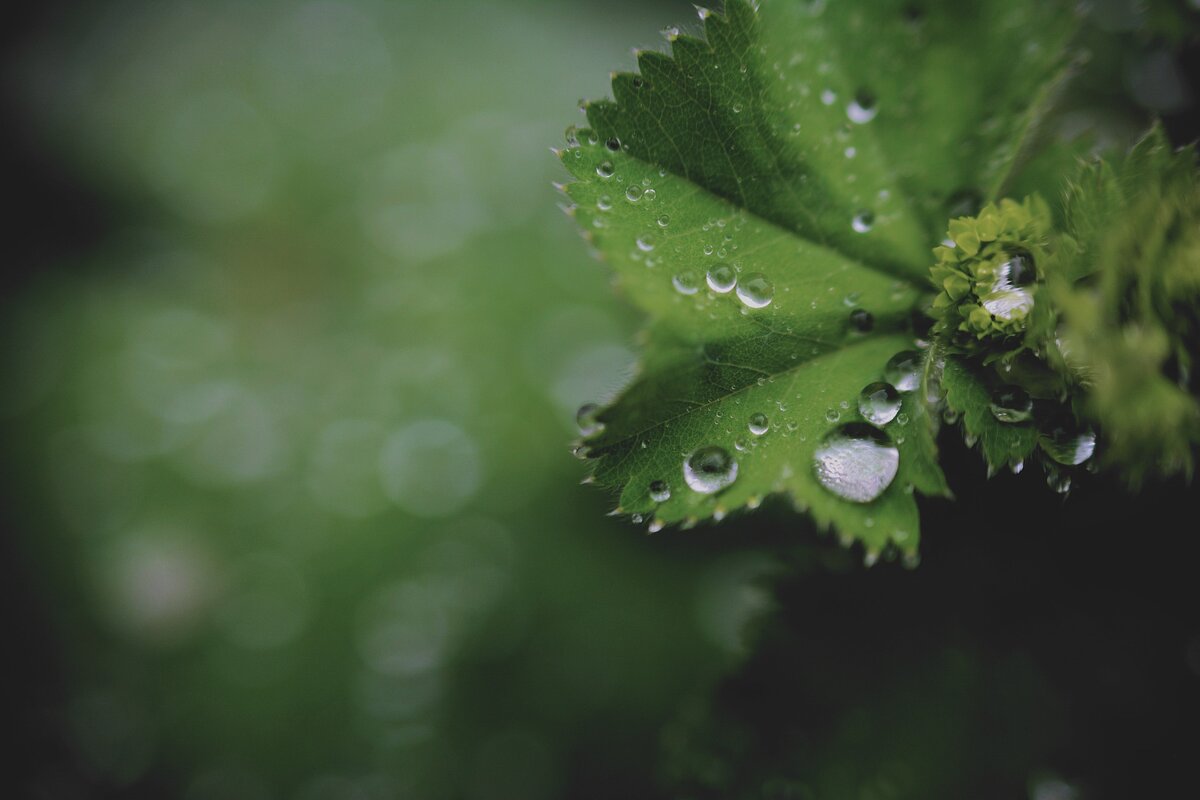 Изображение congerdesign с сайта Pixabay 