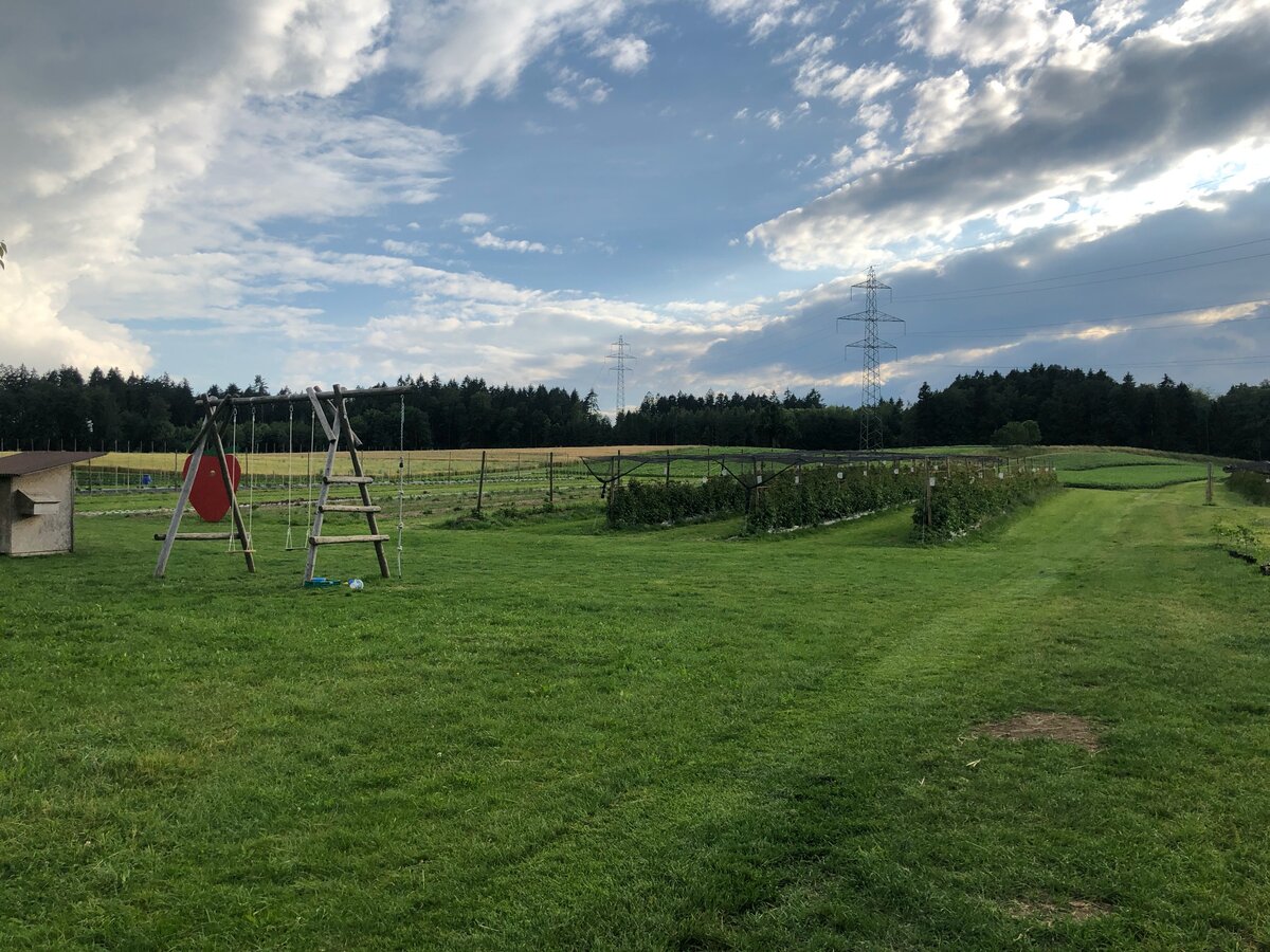 Фермерские просторы. Впереди ровные и высокие малиновые кусты. Ягоды на них крупные, сладкие, и практически никаких насекомых. Фотография из личного архива