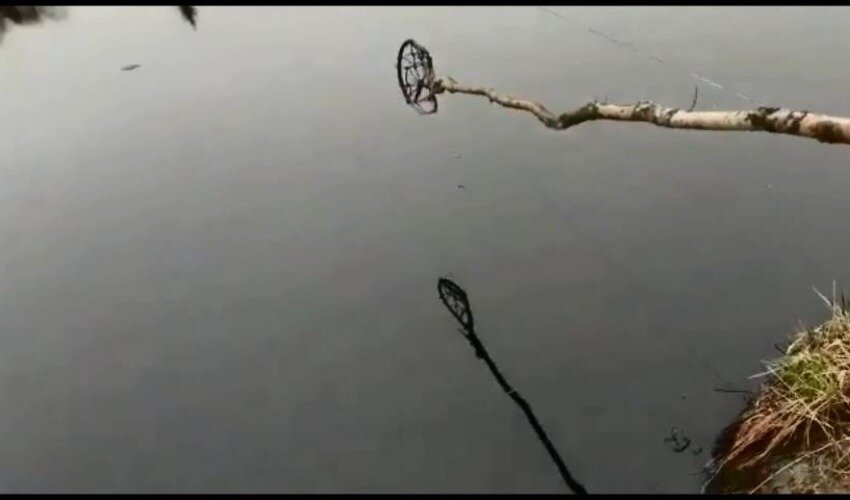 Фото: архив skr.su