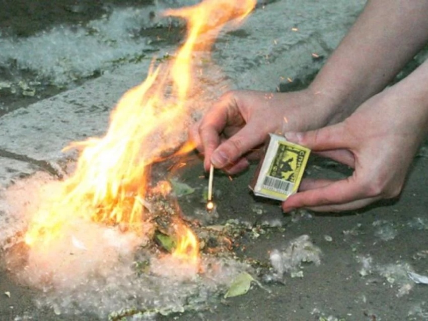 От пуха загорелась электрическая подстанция. Изображение: depgopb.75.ru