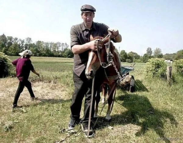 Картинка из сети Интернет