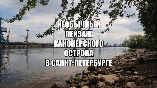 Редкое сочетание в мегаполисе — вода, парк и морской порт. Вид с Канонерского острова, Санкт-Петербург (подробнее - по ссылке)