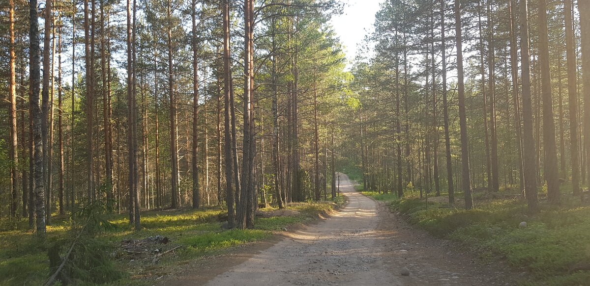 база мыс черемуховый приозерский р-он ленинградской обл. вуокса мыс черемуховый. мыс черемуховый. черемуховый рай река иска тюменская область. ермаковское озеро.