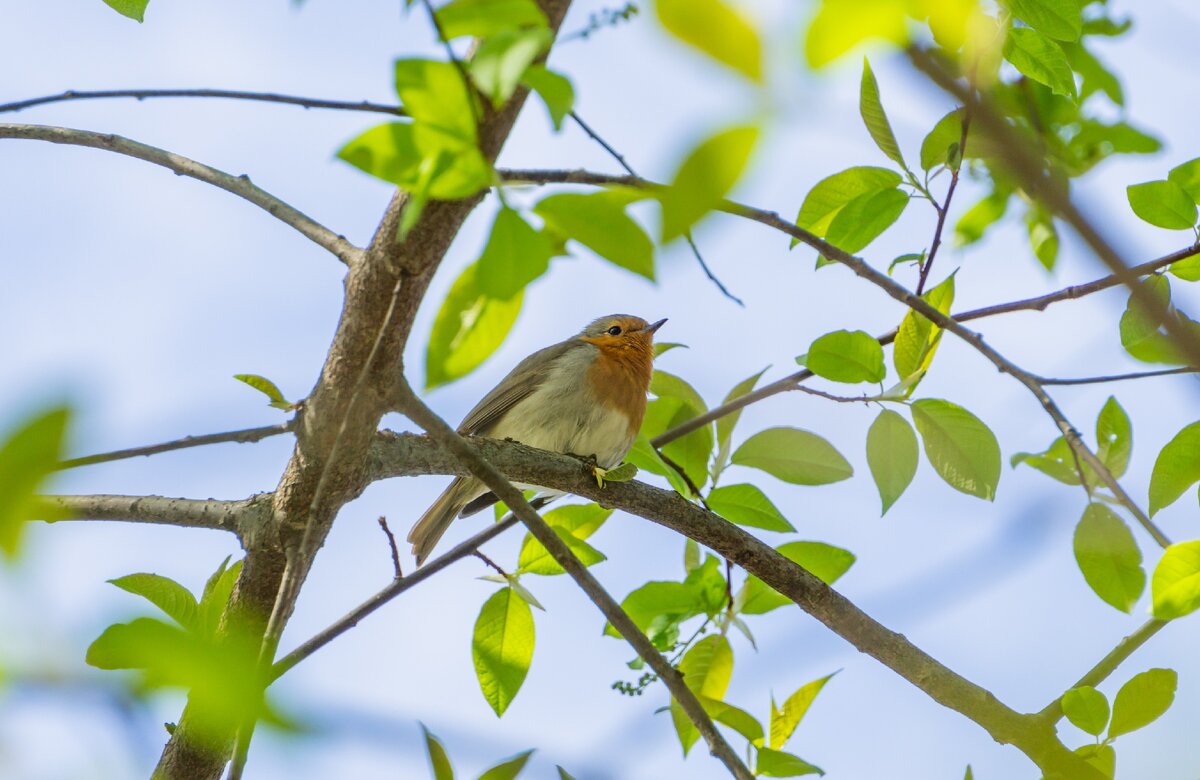 авторское фото