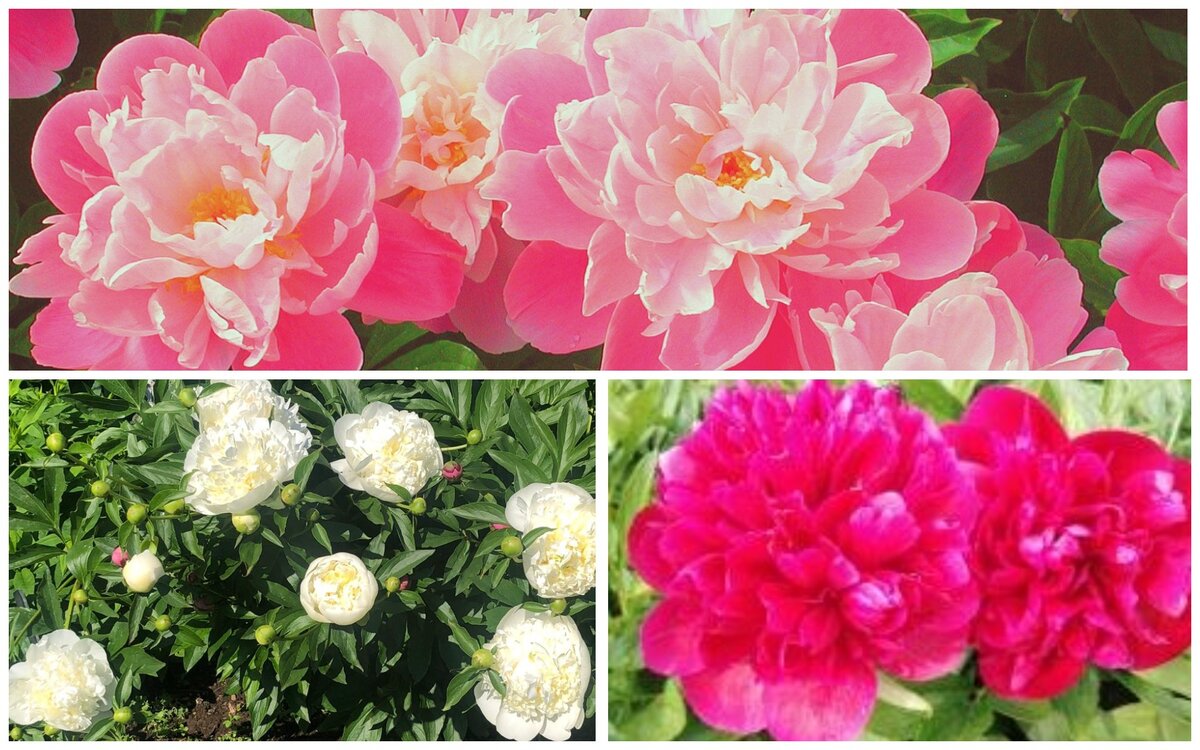 Ставьте "лайки" и подписывайтесь на мой канал!