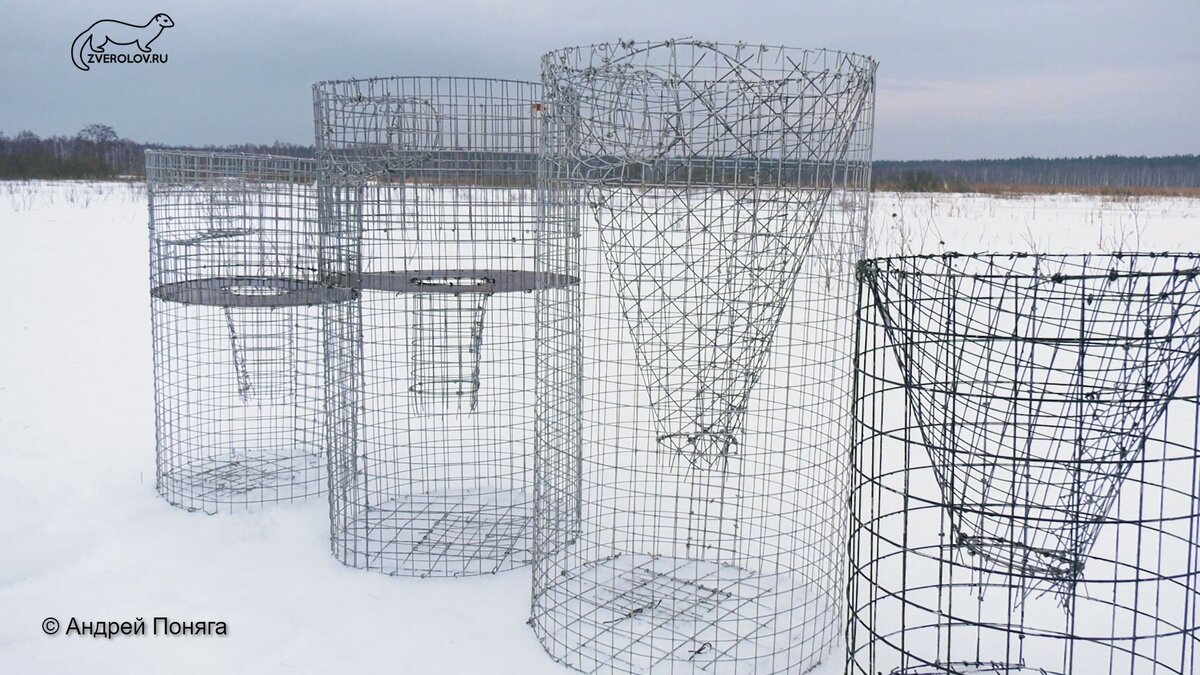 Мои зимние морды.  Две дальние морды Мерцелюкова-Бекренова, Далее  мордушка Давыдова и одногорловая мордушка Снегирева.