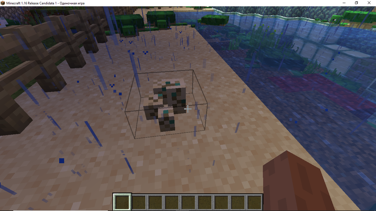 вот еще новые черепашата будут 