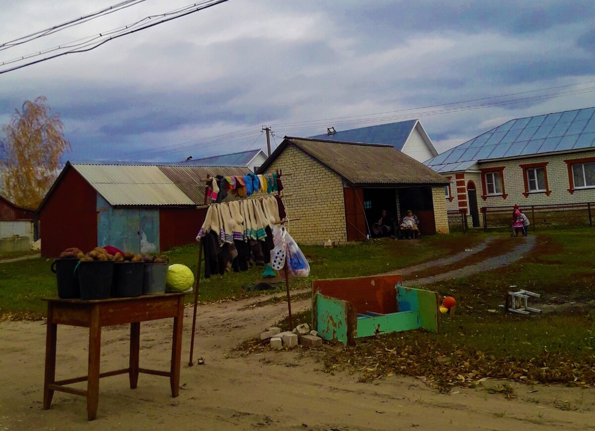 Жизнь внутри гаража. Как выживают люди на придорожной Рязанщине продавая баночку груздей за 1000 рублей