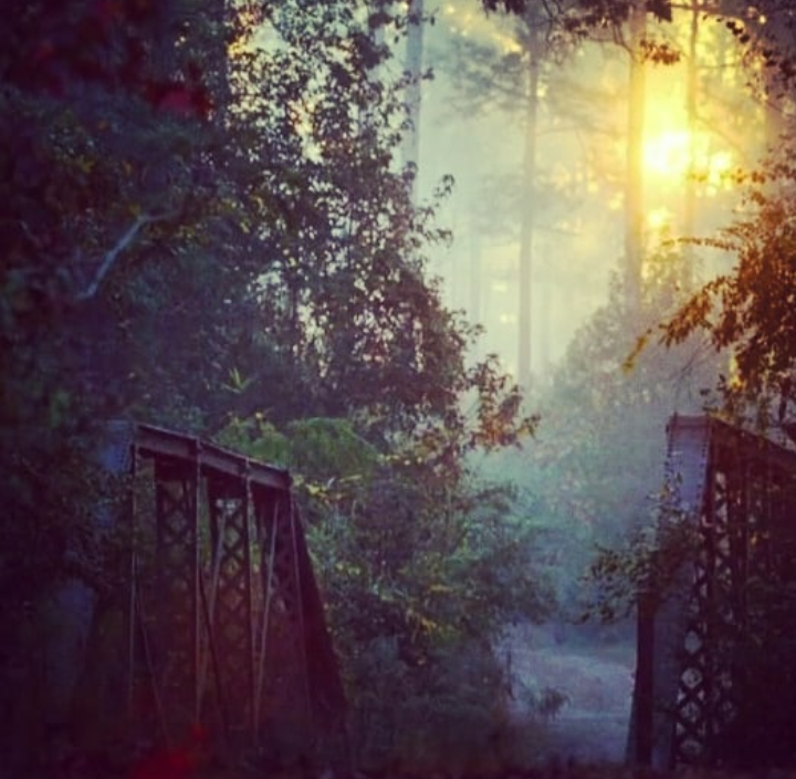 Почему гороскопы не сбываются