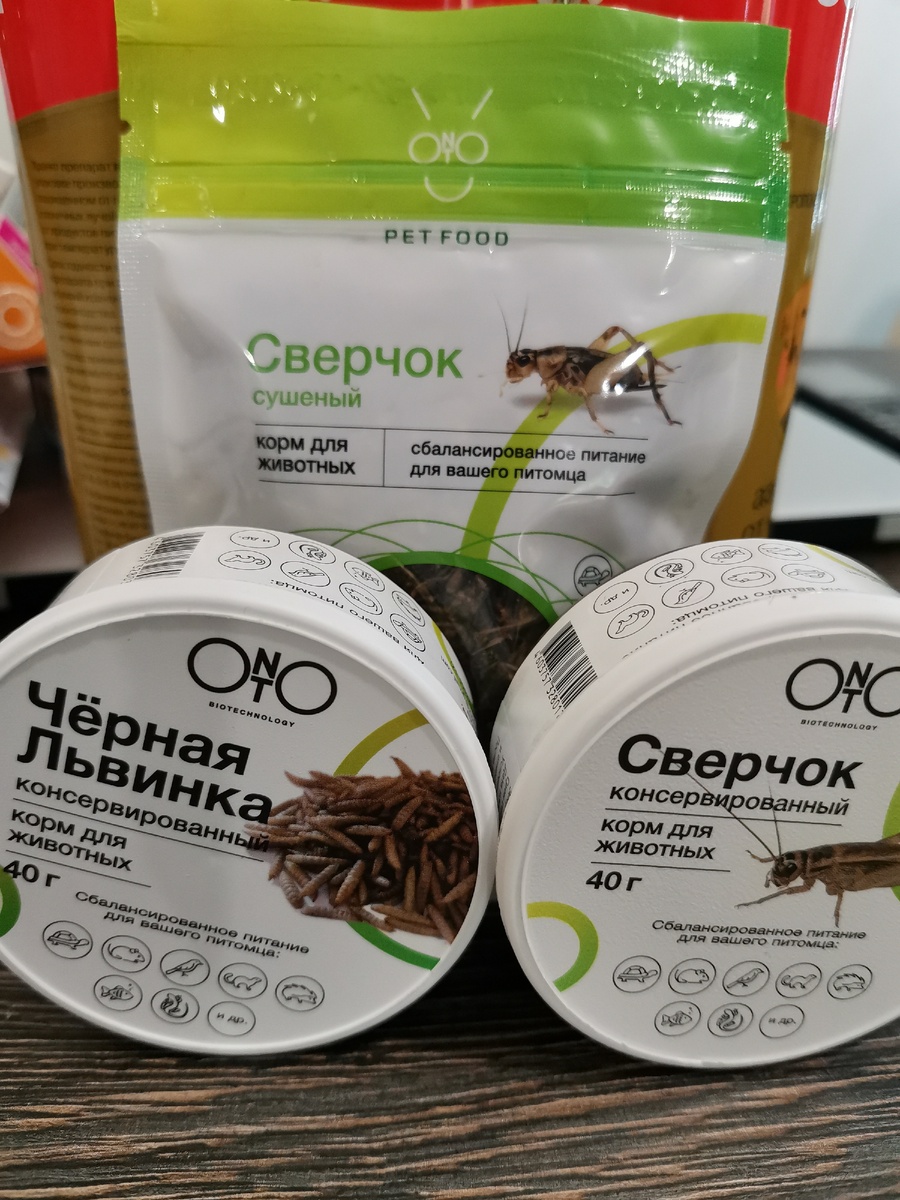 Еда для ежиков из зоомагазина. Стоит целое состояние