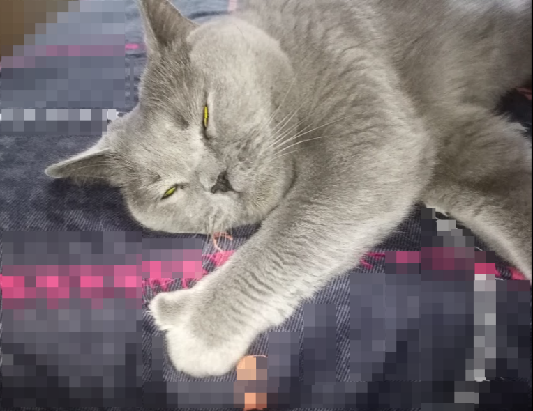 Поставь лайк и подпишись!