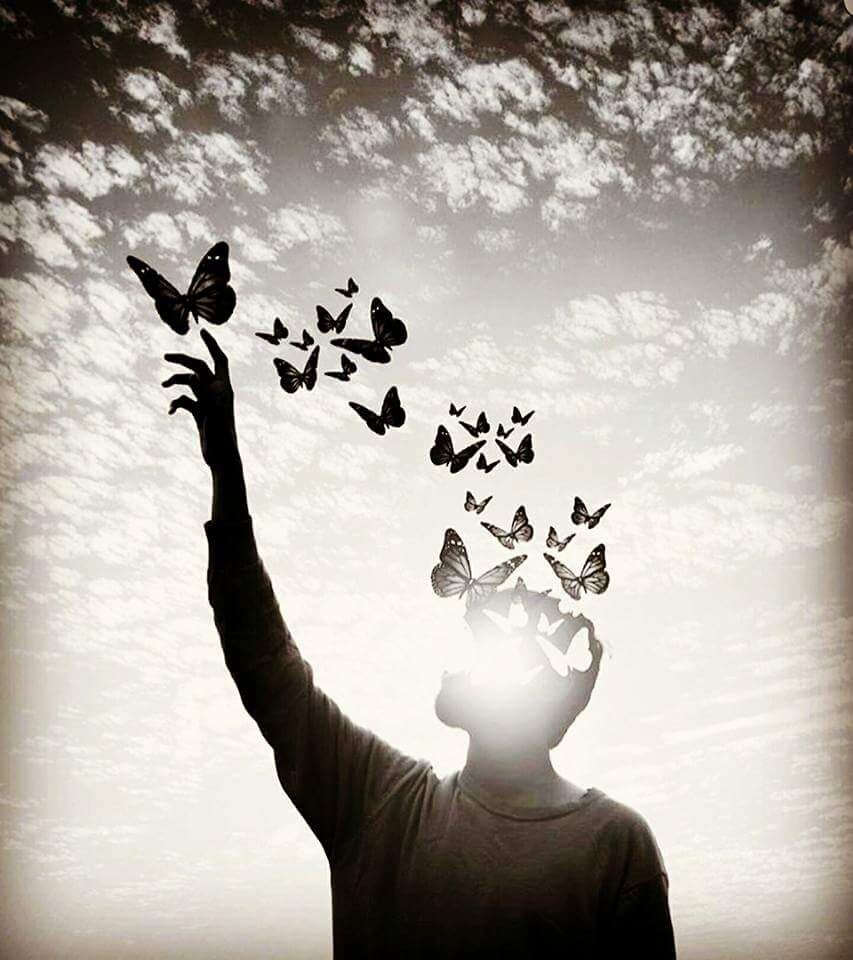 Фото Яндекс картинки