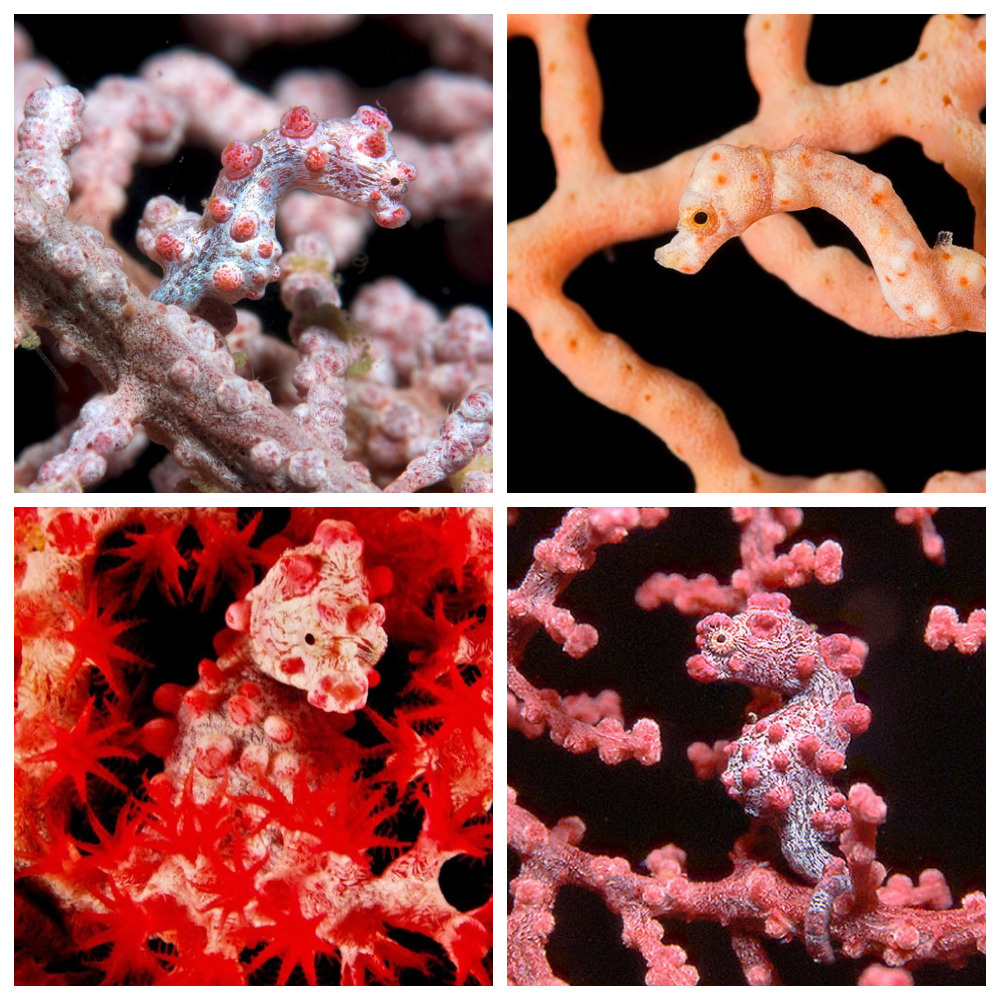 Цветовая адаптация под окружающую среду.