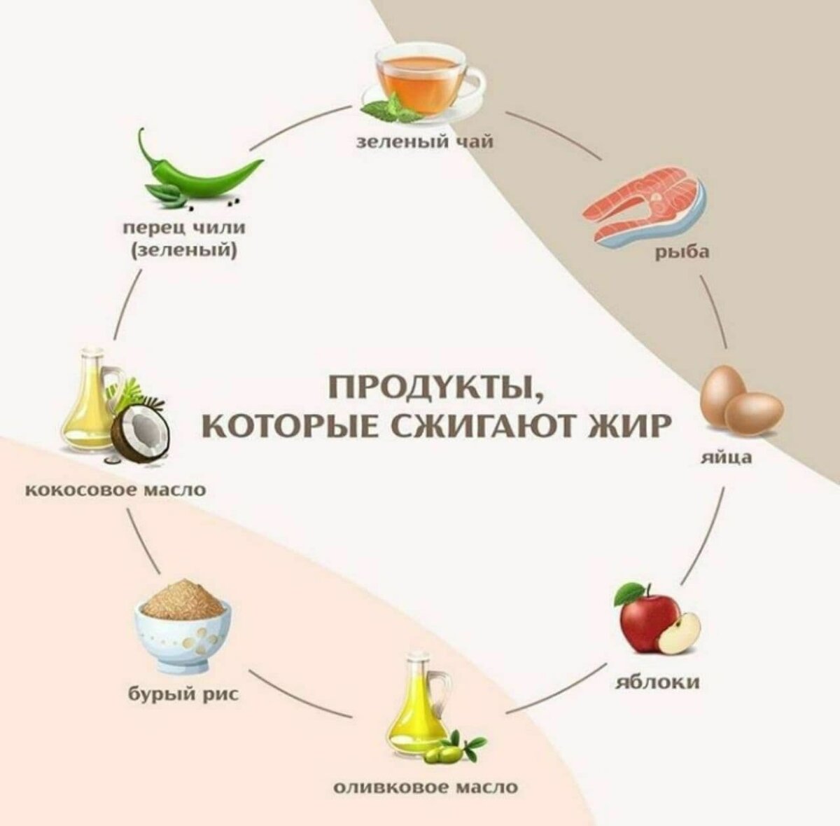 Какой сжигает жир. Продукты которые сжигают жир. продукты для сжигания жира в организме. продукты для сжигания веса. продукты для жиросжигания.