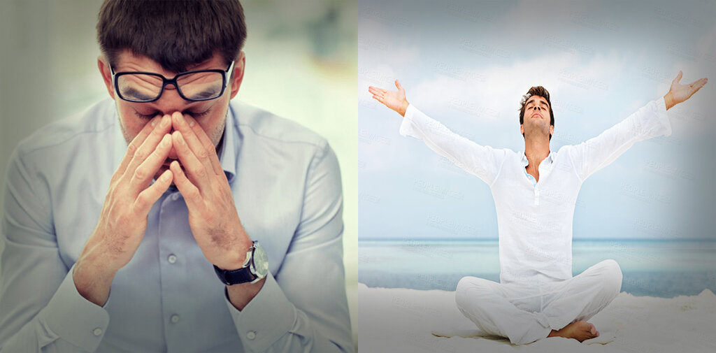 изображения были взяты из интернета