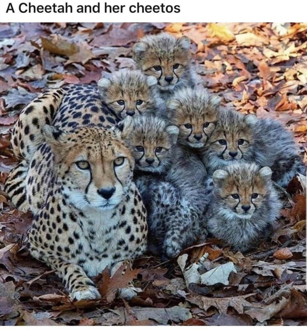 Хахахахахахахахахахахахахах