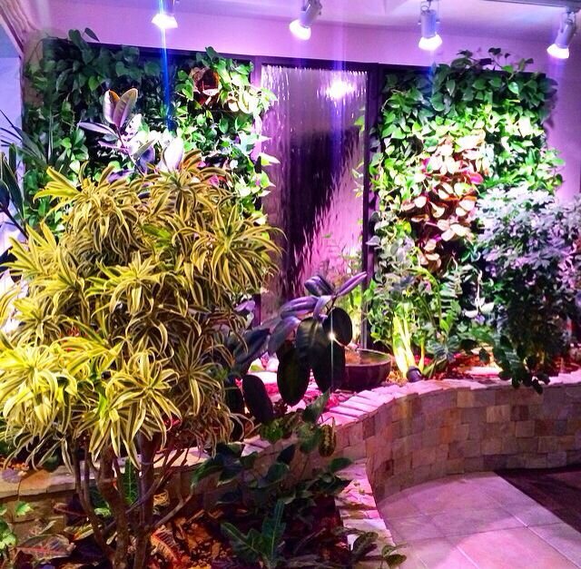 Водопад по стеклу в оранжерее