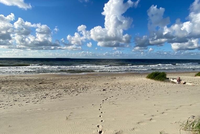 Деньги - не самоцель, но то, что они могут дать вам и вашим детям бесценно