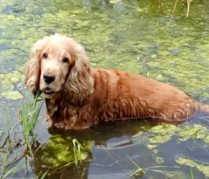 из личного архива