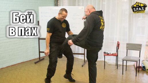 НЕ лажа в боевых искусствах: бей в пах. | Личная безопасность России | Дзен