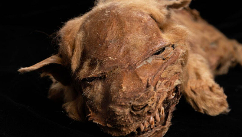 Фото взято из общего доступа