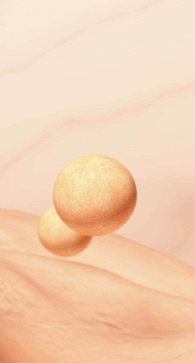 Неоплодотворенная яйцеклетка 