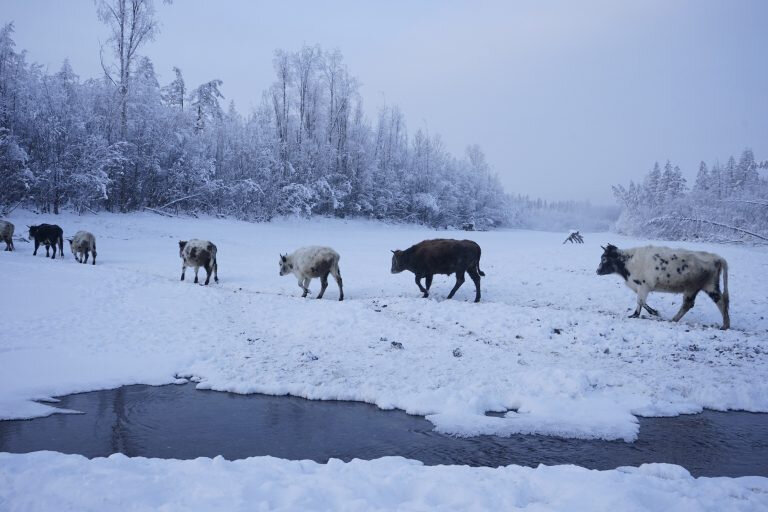 Фото: Семён Сивцев