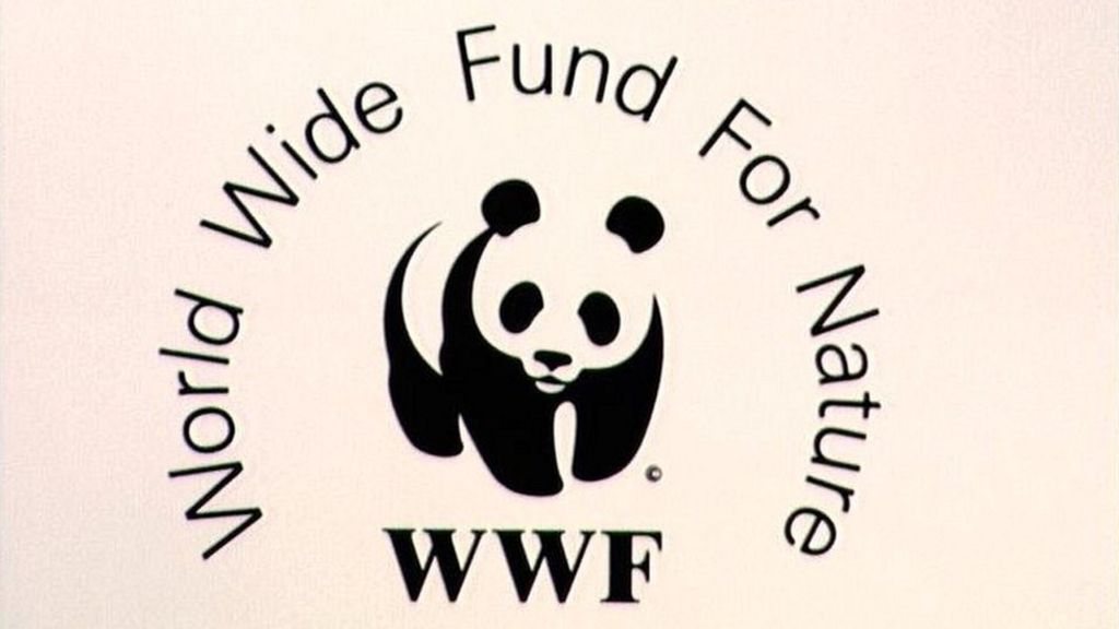 Логотип организации World Wide Fund for Nature (Всемирный фонд дикой природы)