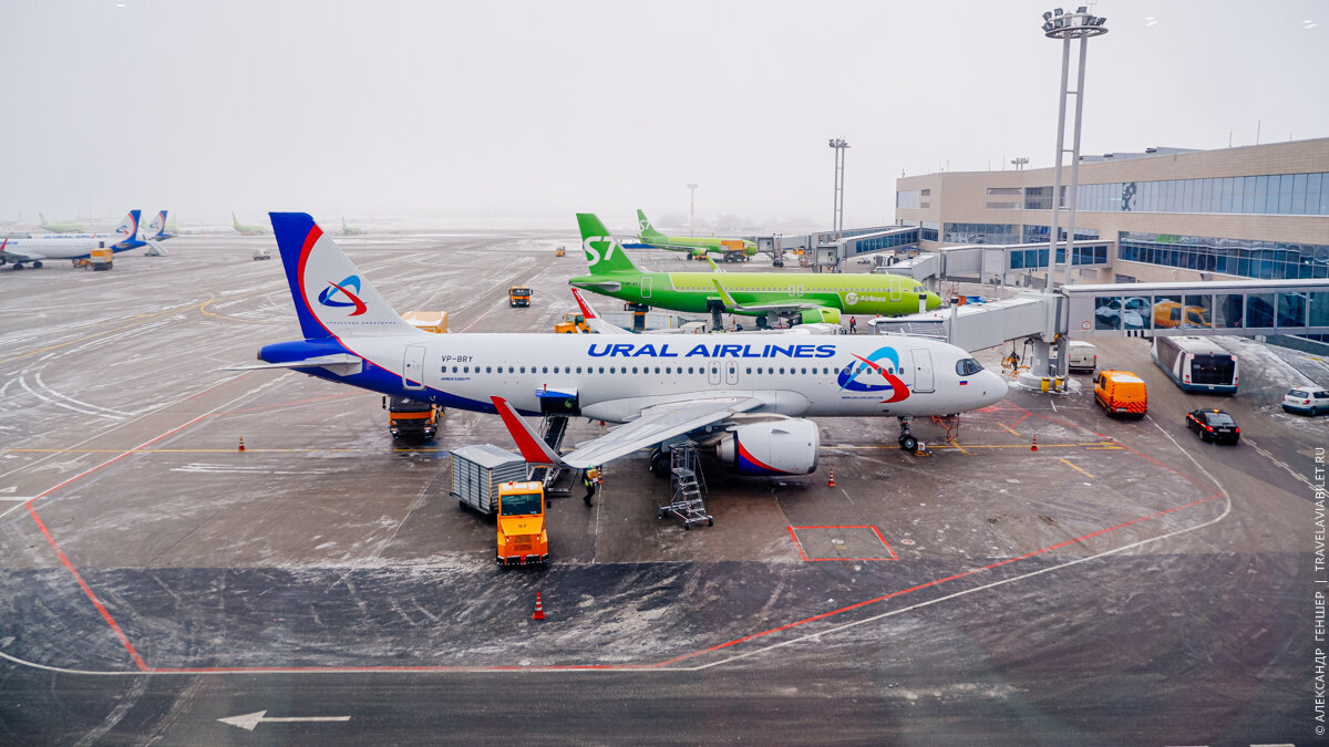 Самолет москва домодедово. Аэропорт Домодедово Ural Airlines. Аэропорт Домодедово Уральские авиалинии. Самолет Урал аэропорт Домодедово-. Самолет авиакомпании Якутия в Домодедове.