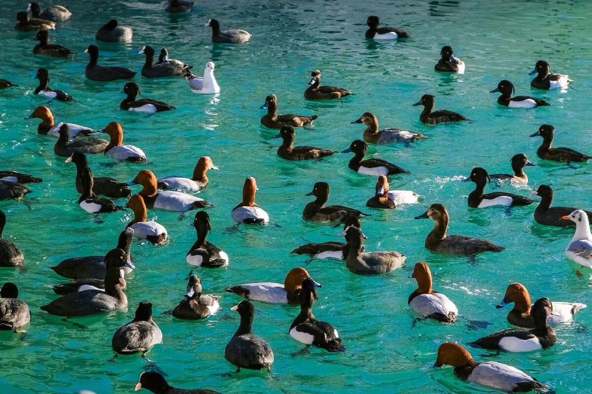 Сочи в Феврале
