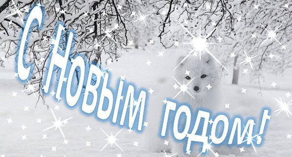 Оригинальная картинка с сайта pixabay.com. Оформление и анимация автора