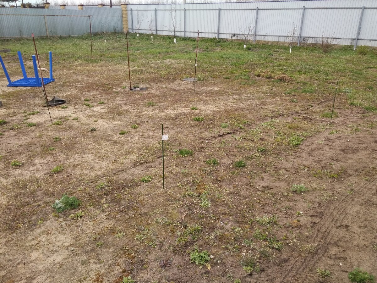 Разметка площадки