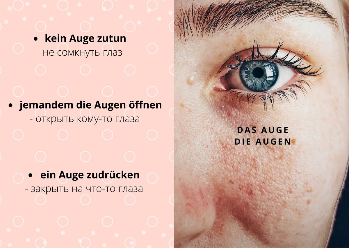 Части тела на немецком языке - пословицы и поговорки