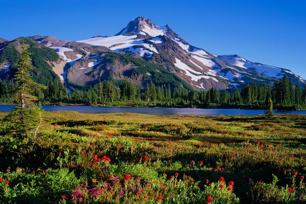 Штат Орегон. США.