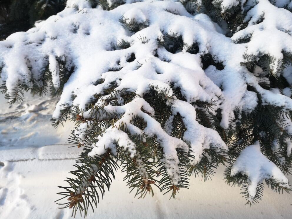 Фото из личного архива.