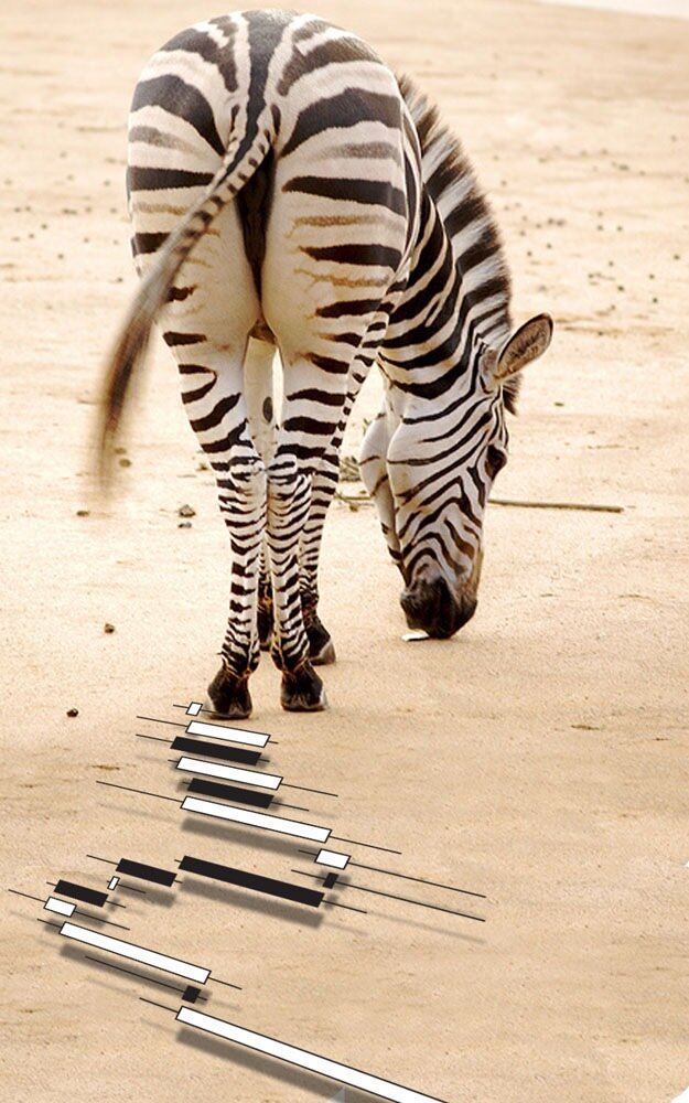 Изображение из открытых источников