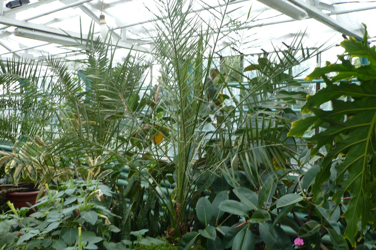 Фото из личного архива 