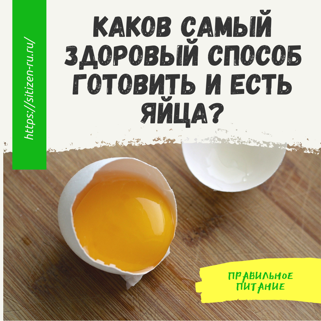 Каков самый здоровый способ готовить и есть яйца? Вареные? Жареные? |  Дневник худеющего лентяя. | Дзен