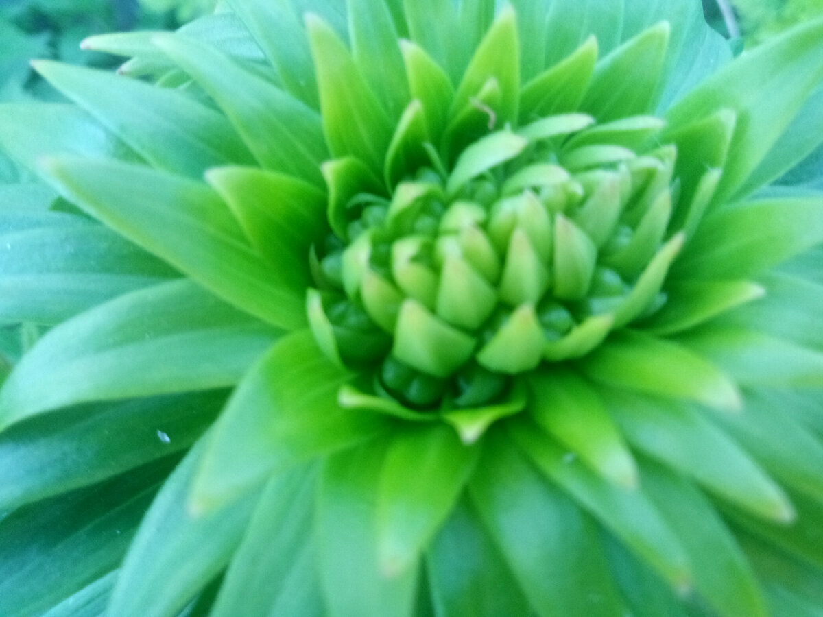 Фото автора (простите за качество)