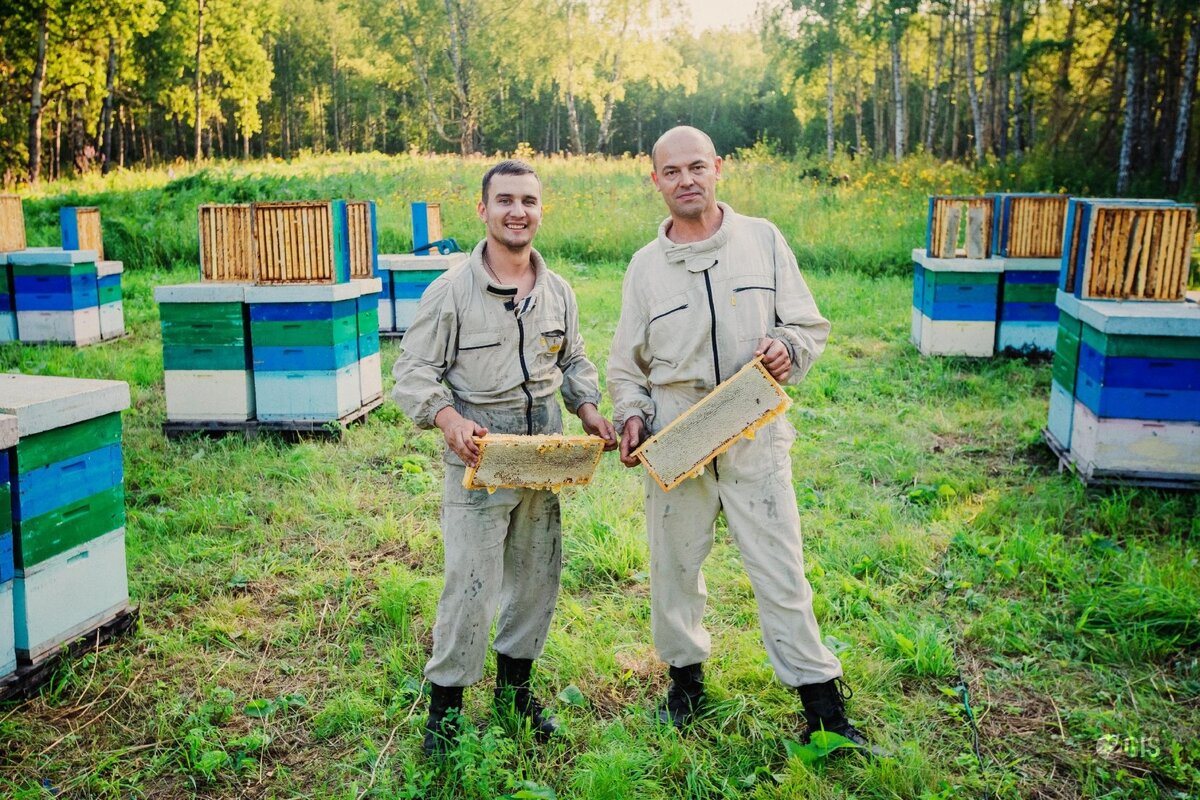 Пасека Матюшкиных Кемерово