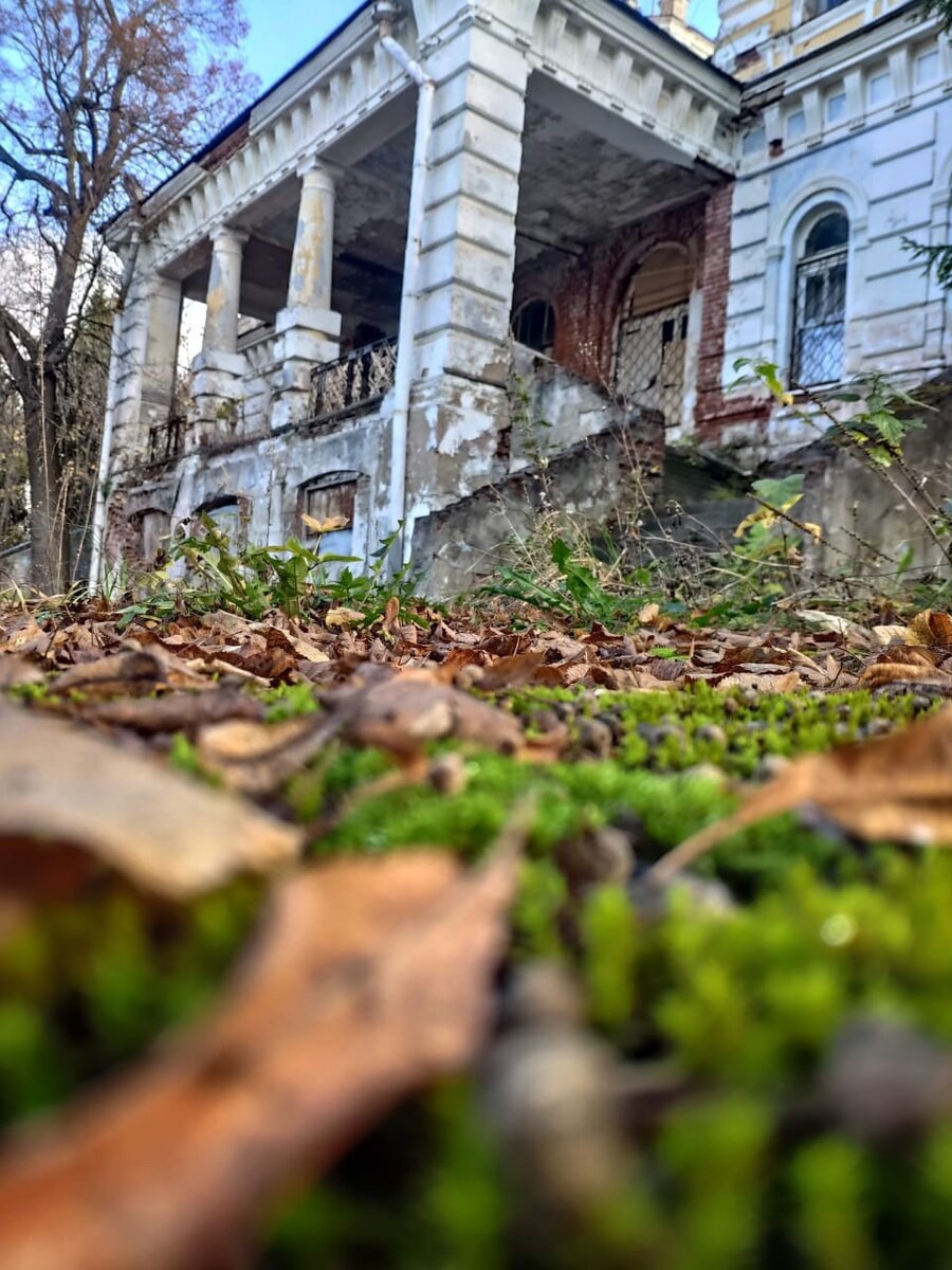 Заброшенная усадьба булочника Д.И. Филлипова в Московской области. Фотограф Елена Усольцева.