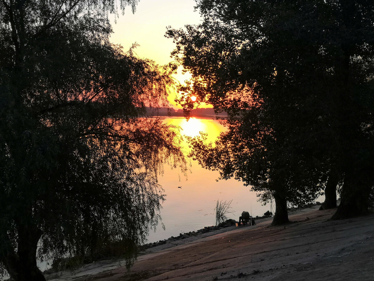 Пробуждение природы во всей её красе.