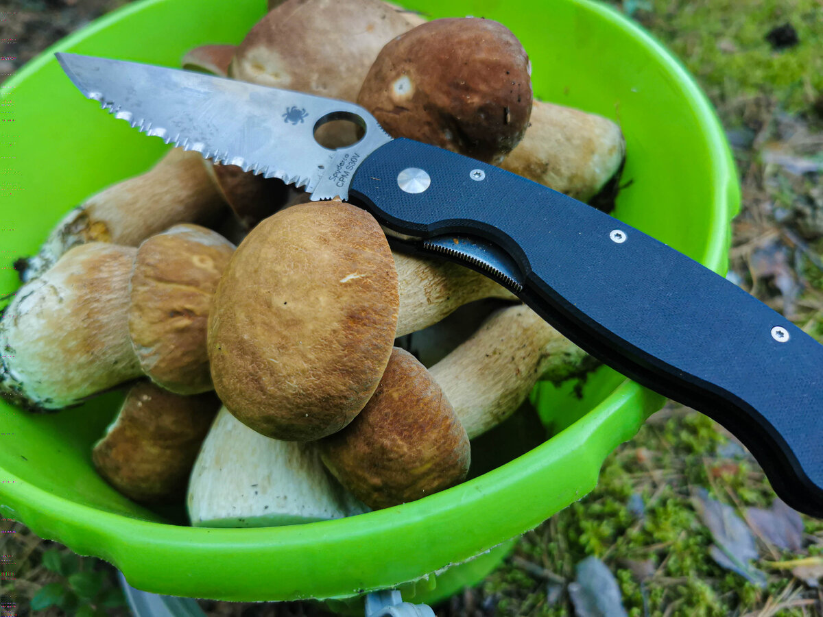 С серрейтором, за грибами. Фото "Лодочник"