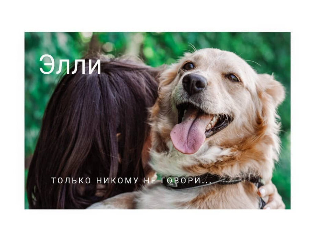 Фото- собственность канала