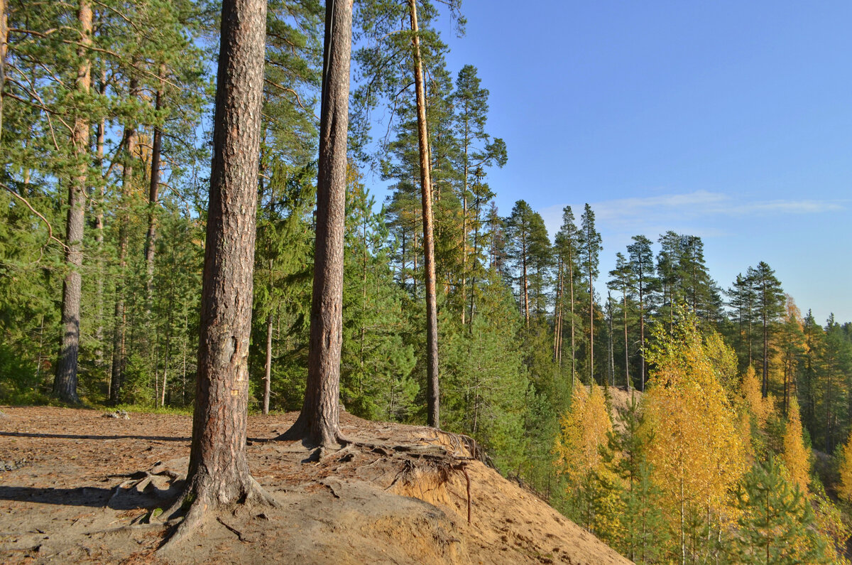 "Секретные" качели под Петербургом: над обрывом сломали, но морские все ...