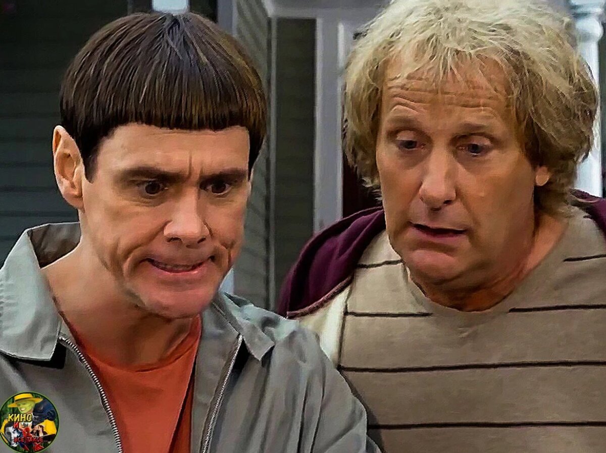 Кадр из фильма "Тупой и еще тупее".