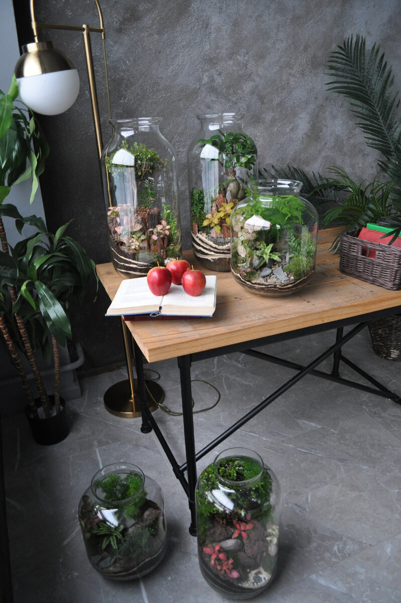 Флорариумы универсальны: они могут украсить ваше рабочее пространство или добавить уюта в интерьере дома. 