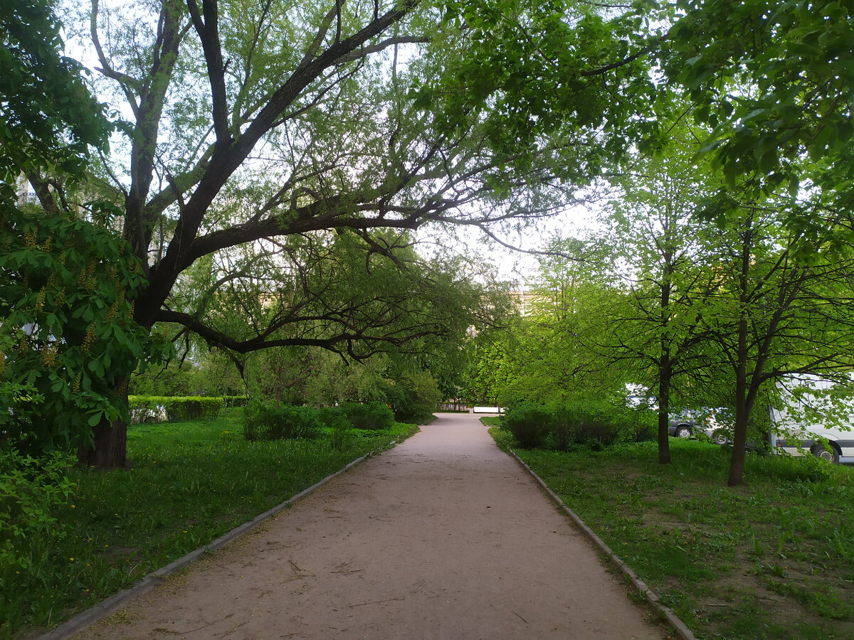 Новый год прошёл. Скоро лето. 