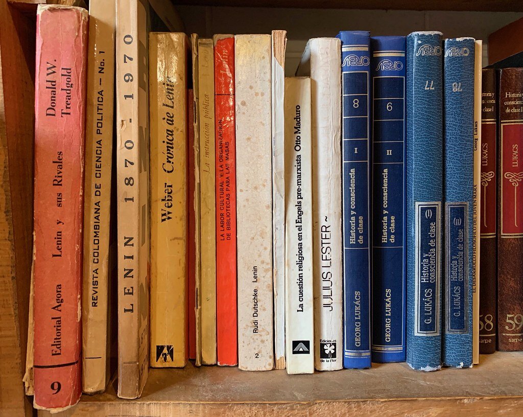 книжные издания. история книги. старинные книги. джоди харви-браун. книжные истории.